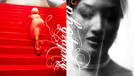 Orange Photography Duality
